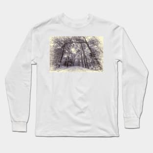 Winter Forest Path Long Sleeve T-Shirt